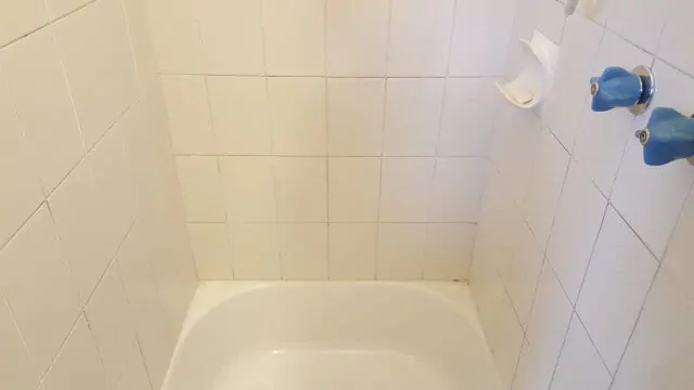 bathtub shower regrout porcelain before