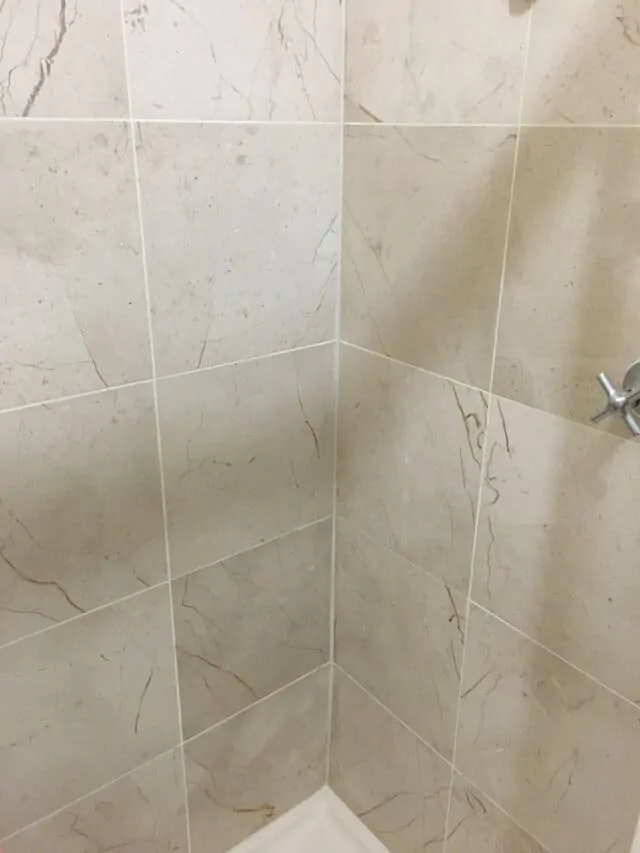 shower regrout after